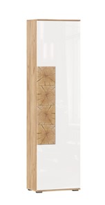 Шкаф одностворчатый Фиджи с декоративными накладками 659.300, Дуб Золотой/Белый в Салехарде