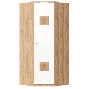 Шкаф угловой 45 с декоративной накладкой Фиджи, 659.248, белый в Тарко-Сале