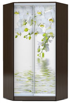 Шкаф 2300х1103, ХИТ У-23-4-77-05, Белая орхидея, венге в Салехарде - изображение