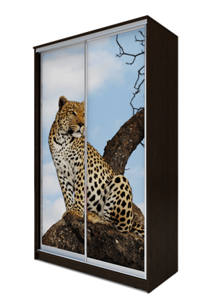 Шкаф 2-х створчатый 2300х1362х620, Леопард ХИТ 23-14-77-04 Венге Аруба в Салехарде - изображение