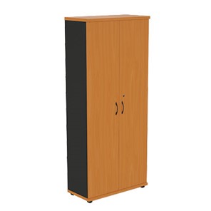 Шкаф для одежды Моно-Люкс R5S05 в Ноябрьске
