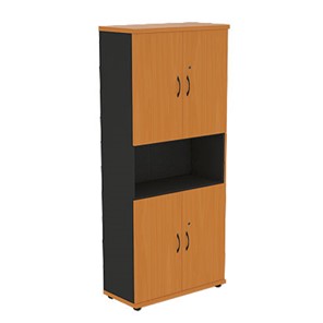 Шкаф для бумаг Моно-Люкс R5S22 в Надыме