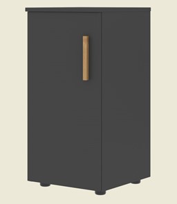 Низкий шкаф колонна с глухой дверью левой FORTA Черный Графит FLC 40.1 (L) (399х404х801) в Губкинском