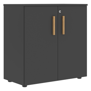 Низкий шкаф широкий с малыми дверцами FORTA Черный Графит FLC_80.1_Z__grafit.png FLC 80.1(Z) (798х404х801) в Салехарде