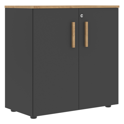 Шкаф широкий низкий с малыми дверцами FORTA Графит-Дуб Гамильтон  FLC 80.1(Z) (798х404х801) в Лабытнанги - изображение
