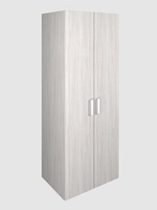 Шкаф для офиса для одежды 2-дверный арт.119.1, ЛДСП Ясень шимо светлый в Лабытнанги