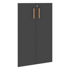 Двери для шкафов средние с замком FORTA Черный Графит FMD 40-2(Z) (794х18х1164) в Лабытнанги