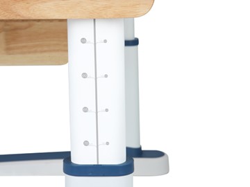 Детский стол-трансформер Mealux Oxford Wood Max, Белый/Синий в Новом Уренгое - предосмотр 3