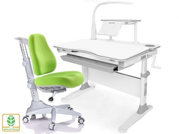 Растущая парта + стул Mealux EVO Evo-30 G (арт. Evo-30 G + Y-528 KZ) (дерево)/(стол+полка+кресло+чехол+лампа)/ белая столешница (дерево), цвет пластика серый в Губкинском