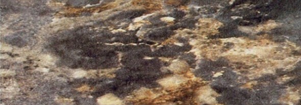 Кухонная столешница 100*60 см Королевский опал темный в Новом Уренгое - изображение